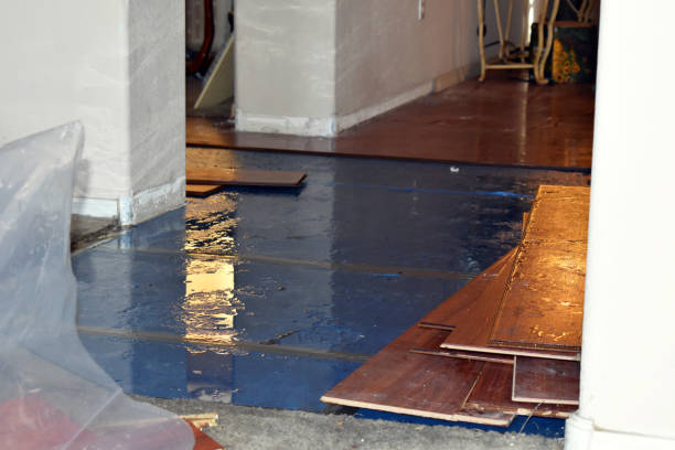 Professional Burst Pipe Water Damage technician working in Mansfield, MA